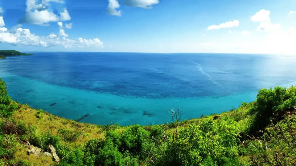 Get Citizenship by Investment and Enjoy Visa Free Travel