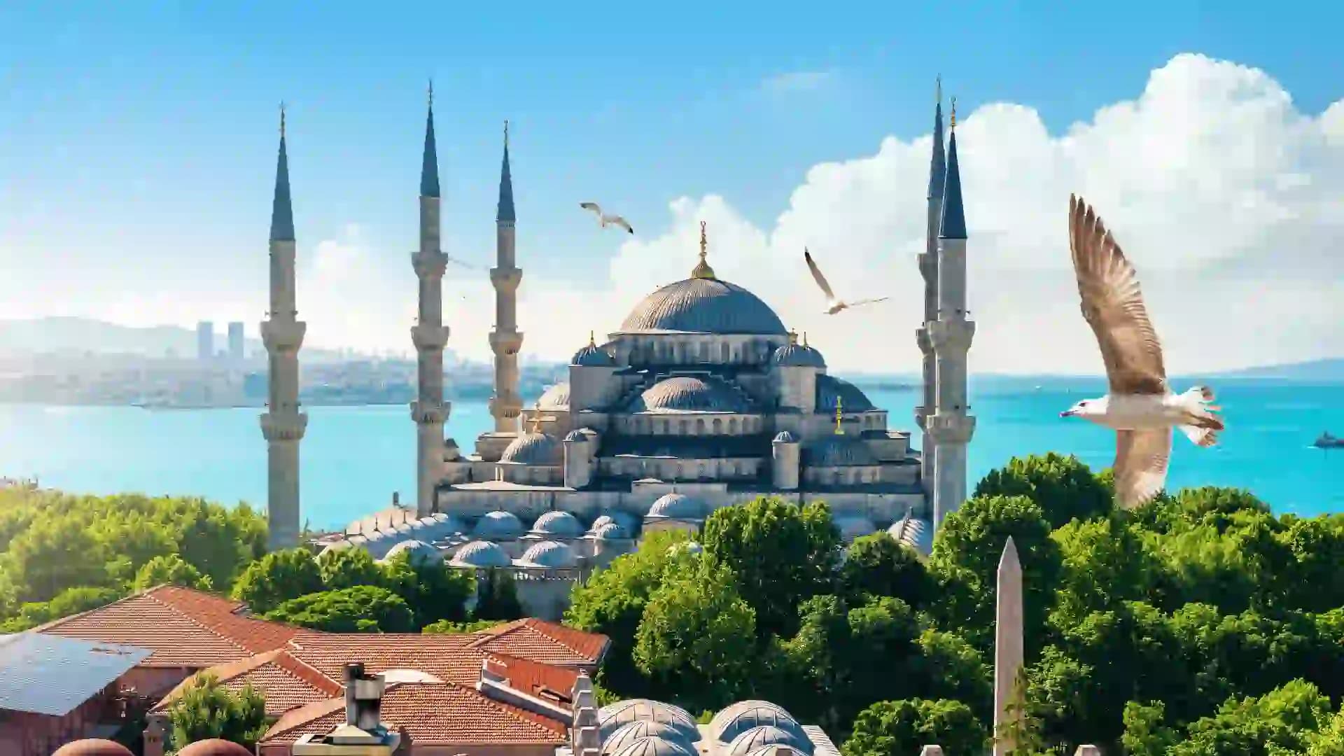 Fund Investment – Turkey Citizenship by Investment
